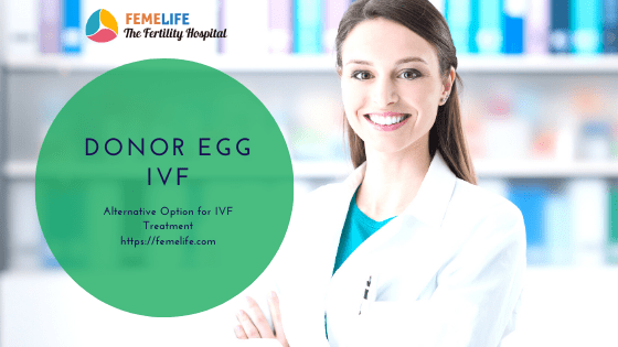 donor egg ivf