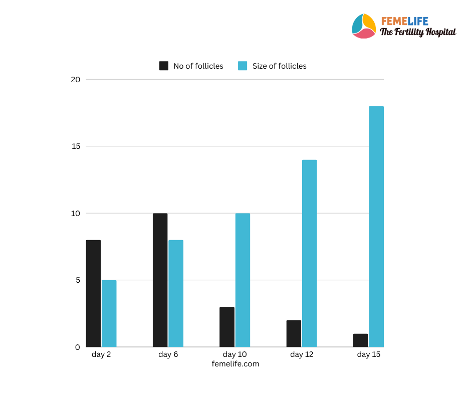 Follicle size on day 10