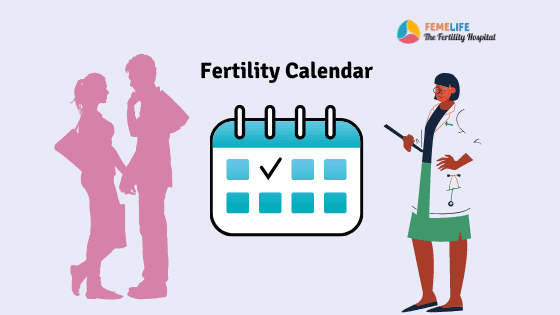 fertility calendar