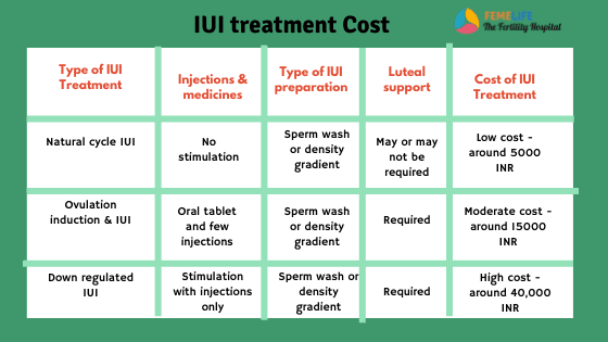 IUI treatment cost