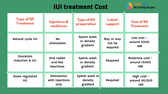 Uterine Prolapse Periods at best price in Chennai by BM Hospital's New Life  Fertility & IVF Centre