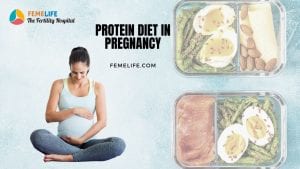 Protein Diet