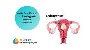 What is endometrium