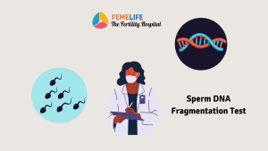 Sperm DNA Fragmentation Test