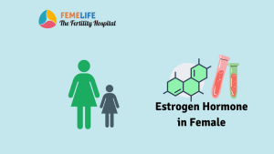 Estrogen Hormone