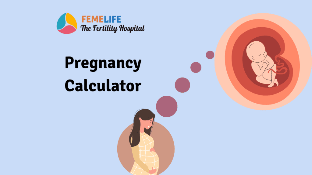 Pregnancy calculator