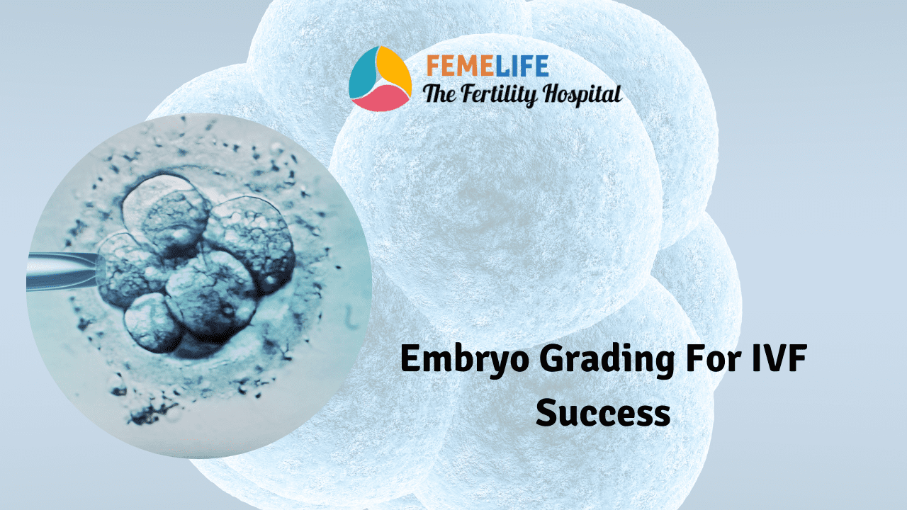 Femelife Kolkata Femelife Ivf