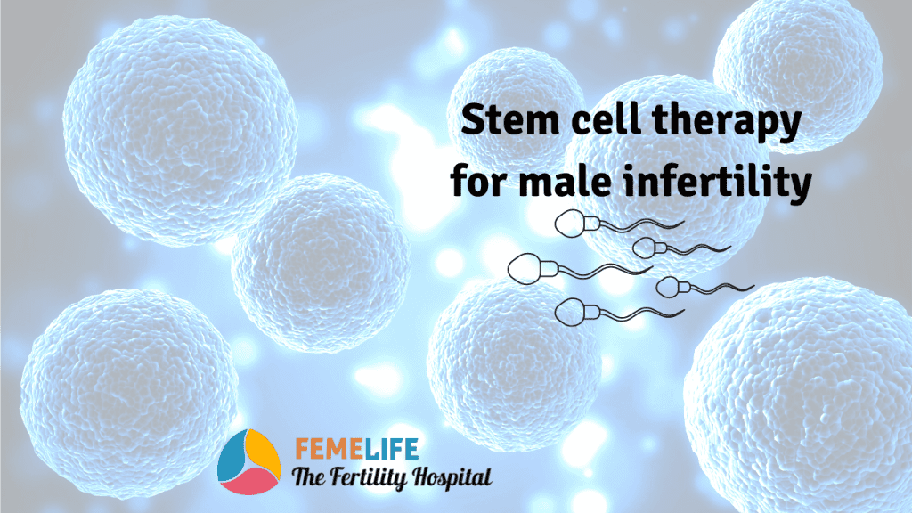 Stem cell for male infertility