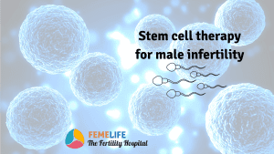 Stem cell for male infertility