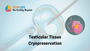 Testicular tissue cryopreservation