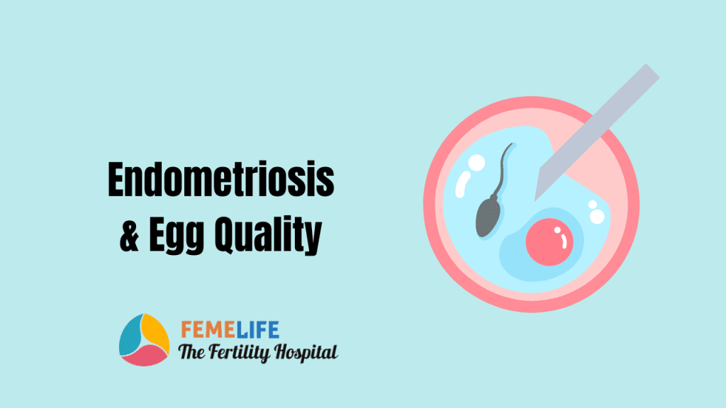 Egg quality in Endometriosis