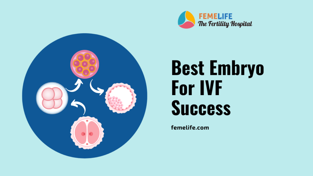 Best Embryo for IVF Success